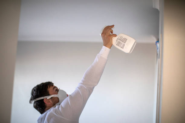 Professional Mold Removal in Waterville, OH
