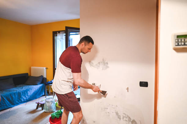 Best Best Mold Removal Companies  in Waterville, OH