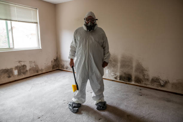 Best Crawl Space Mold Removal  in Waterville, OH